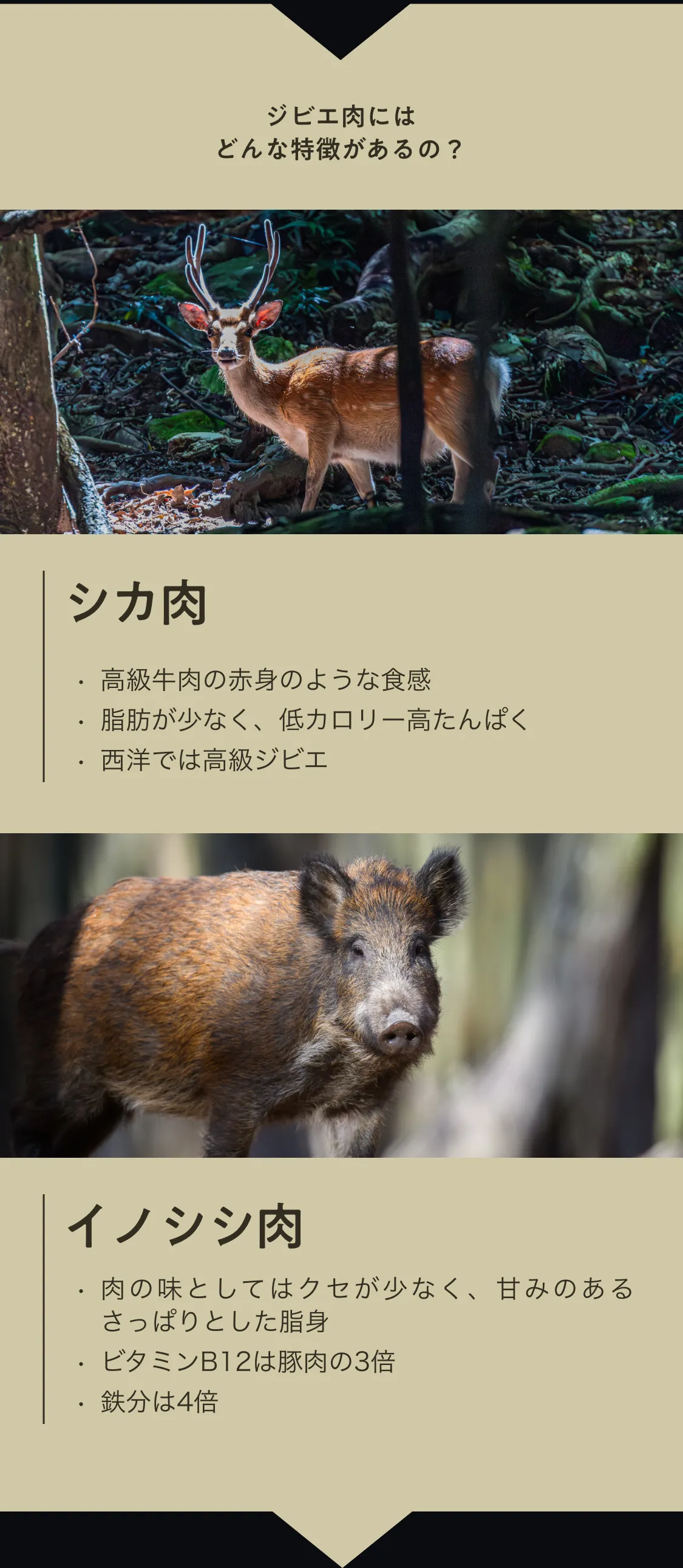 ジビエ肉のメリット 高単価設定でも売れる 他店との差別化 さらに時短でロスなし